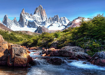 AmorErotico en la Naturaleza 1